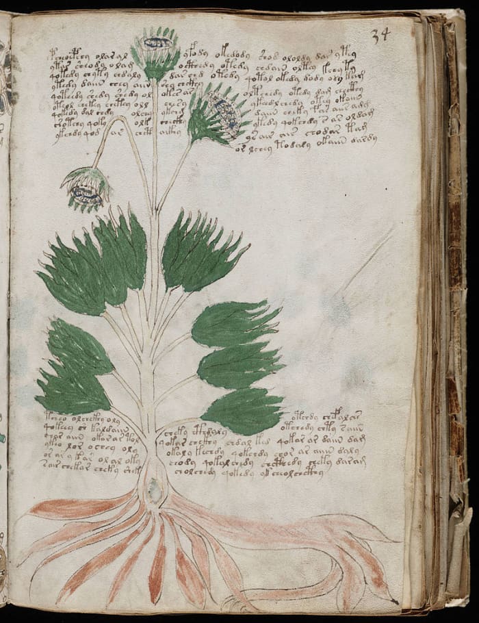 The Riddle of the Voynich Manuscript - Owlcation