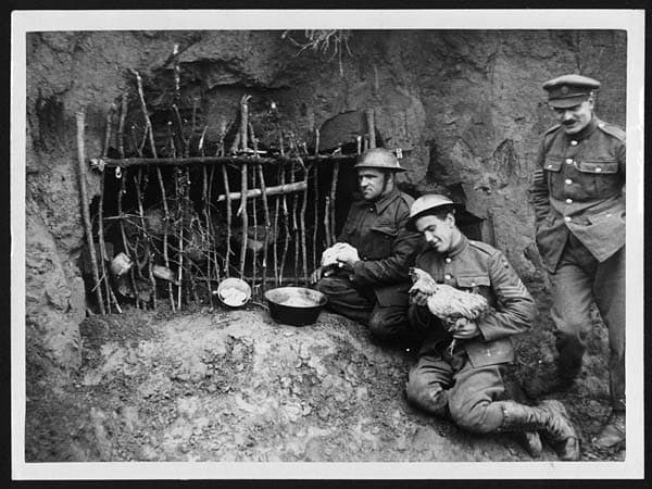 Necessity being the mother of invention, British soldiers have rigged up a chicken coop in their trench to supplement rations.