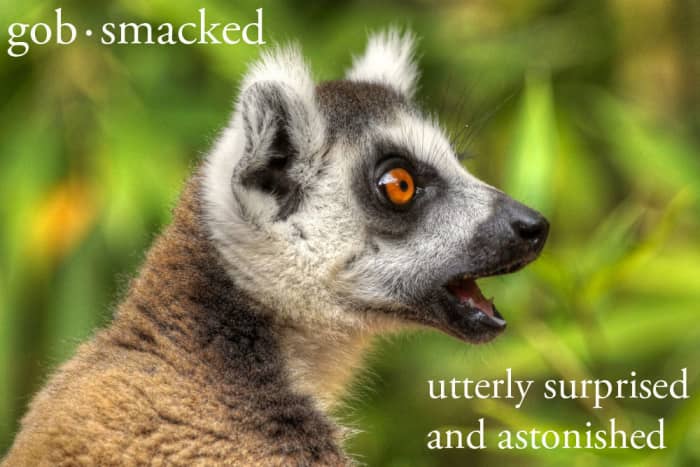 100+ Weird Words and Cool Definitions - Owlcation