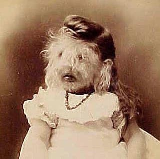 Called the "Woolly Baby" of Minnesota, Alice performed with a show that toured the Midwest.