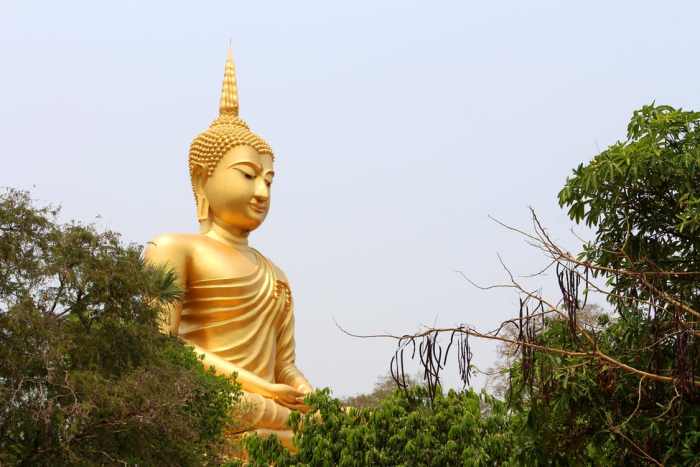zen quote of the day vol 340