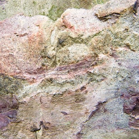 The purplish areas on this rock from the New Jersey Palisades are areas of contact metamorphism. Compared to the rock around them, they are more crumbly due to their exposure to intense 1000 degree heat