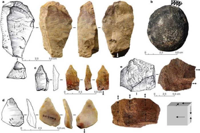 Philippine Rhinoceros: Rewriting History and Science - Owlcation