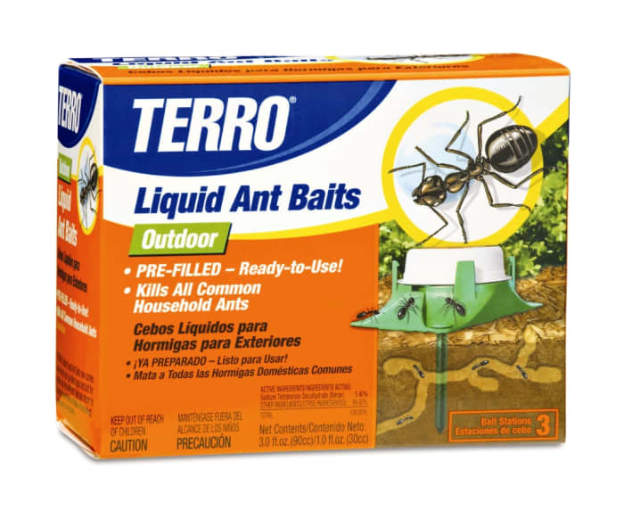 Not everyone loves ants... in fact ants in the household can cause a lot of damage so they are often the subject of extermination.