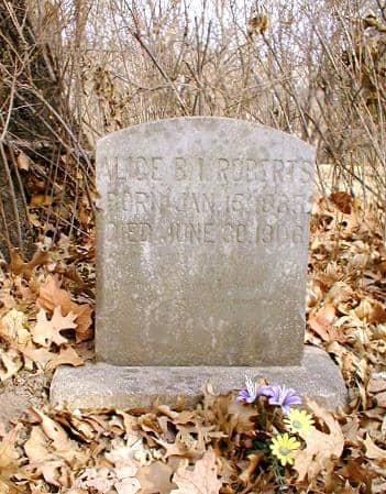 Alice (Mrs. John) Roberts, granddaughter of John Wesley Ready & Sarah Stapleton Ready, is second stone from the left.