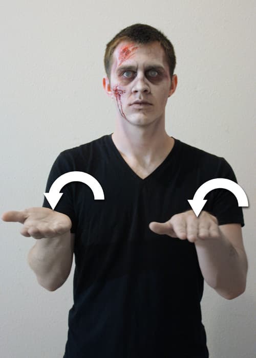 The left hand is held out palm up and the right hand will be palm down, next both hands flip palm orientation.