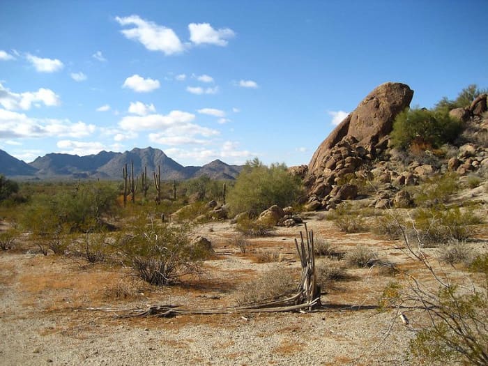 The Sonoran desert, straddling part of the US-Mexican border. The desert may be expected to expand in a warming world. Image courtesy Highqeue & Wikimedia Commons.