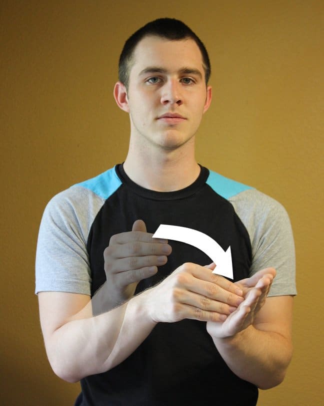 Left hand is held with an upward open palm, the right hand's fingers are put into the palm of the left.