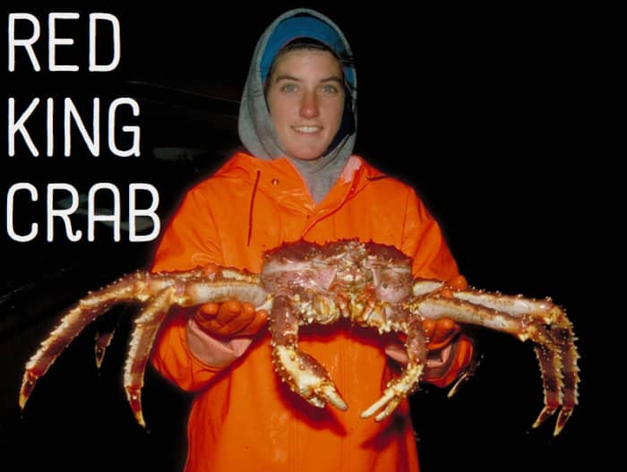 Red King Crab. Licensed under Public Domain via Commons