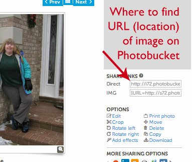 how-to-align-images-side-by-side