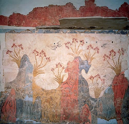 Another wall of the tiny room of the House of the Lilies: perhaps an antechamber or downstairs bedroom, it was sunk below street level with half-windows opening onto a small square.