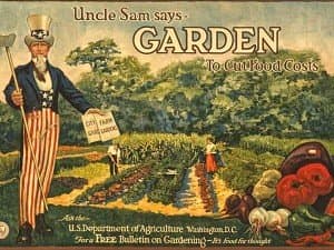 This poster was distributed by the National War Garden Commission to publicize their free bulletin on how to grow a garden.