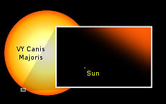 VY Canis Major compared to our Sun. There is some dispute over the size of VY Canis Major. Some astronomers believe it to be 'only' as big as Betelgeuse. But the majority view seems to be that it is the largest star of all in our part of the Galaxy