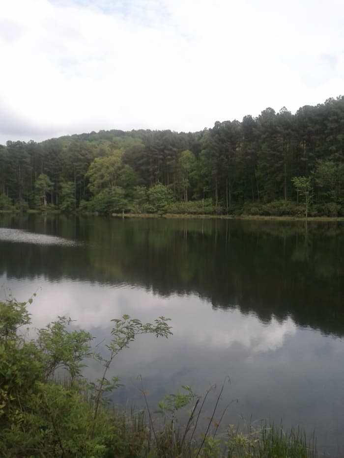 Beautiful lakes, trails rivers and trees are plentiful in the southeastern national forests and parks.