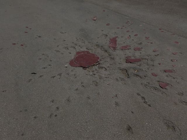 A Sarajevo Rose (mortar shell marks filled with red resin) mark where fellow citizens had fallen. Sarajevo Roses are found all over the city.