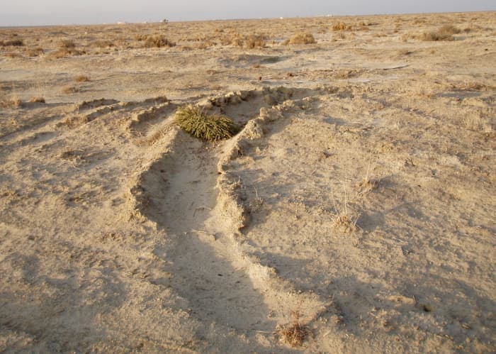 Desiccated earth devoid of water. Taken in 2007 near Edwards AFB in California's Mojave Desert.