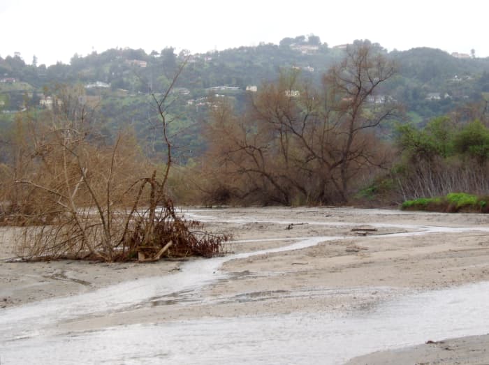 Open Floodplain (Hahamongna Watershed) - The community in the hills beyond is built above the floodplain. This lets the floodplain do its job of absorbing rainwater into the aquifer. Not so the City of Los Angeles, devastated by the flood of 1934.