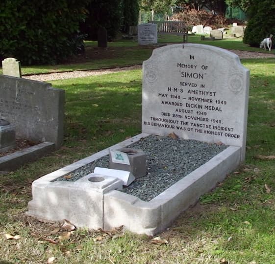 Grave of Able Seaman Simon (1947–1949), PDSA Ilford Animal Cemetery, Ilford, Essex