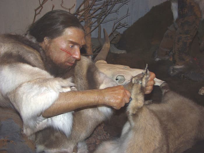 The Neanderthals had Europe all to themselves for over 300,000 years. But 40,000 years bought all that to an end. Now, they had to contend with some very dangerous competitors.