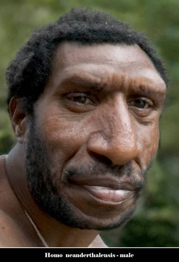 The Neanderthals looked remarkably similar to us, apart from the huge nose, pronounced brow ridge and flatter cranium.
