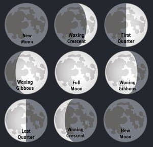 Phases of the Moon: Middle School Science Lab Lesson Plan - Owlcation