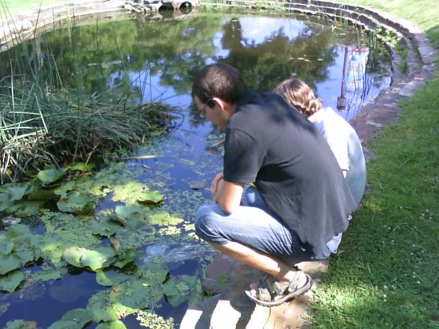 You might want to take a break before going back to look at your peer editing comments. It can also be nice to sometimes do your peer editing out of doors on a nice day.