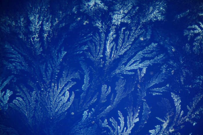 Crystallized saliva