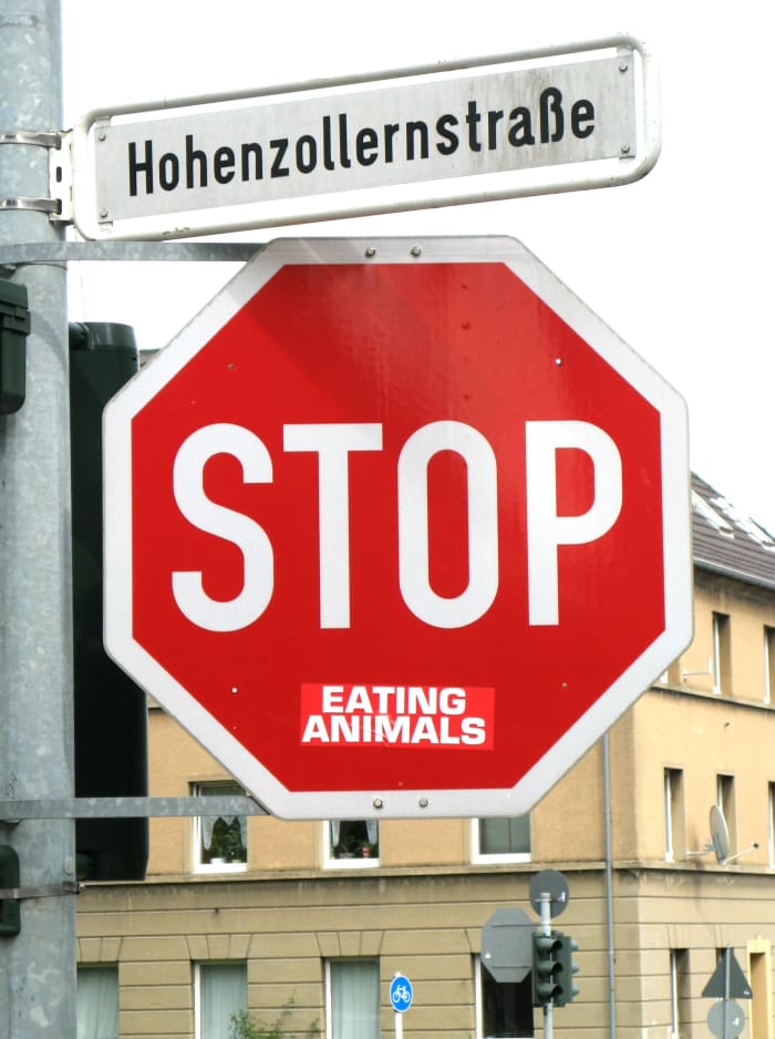 ethical-concerns-raising-livestock-animals-food