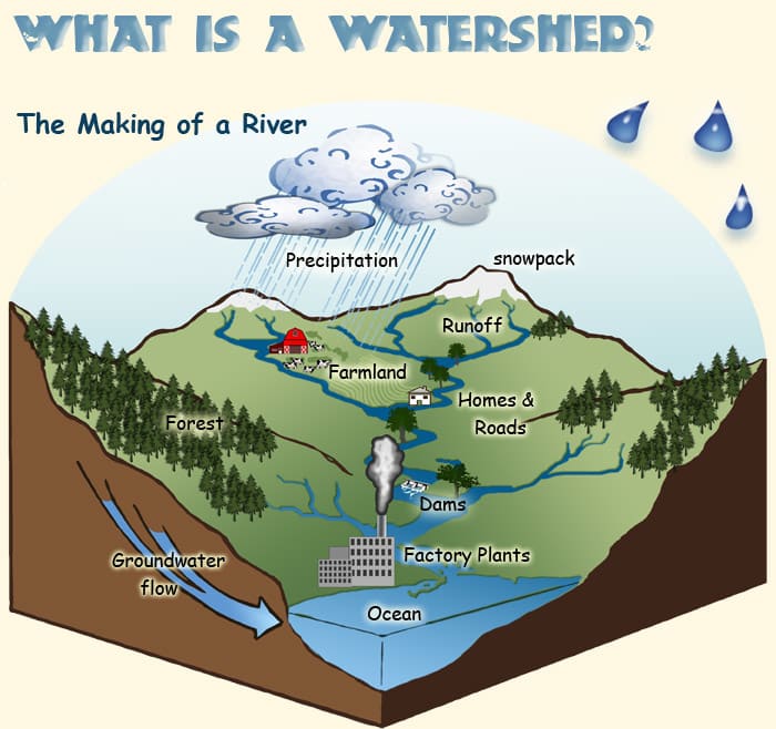Graph of a simple, functional watershed. Good land use planners should have this memorized, so they know how to preserve the natural flow of water when they allocate land in their area.
