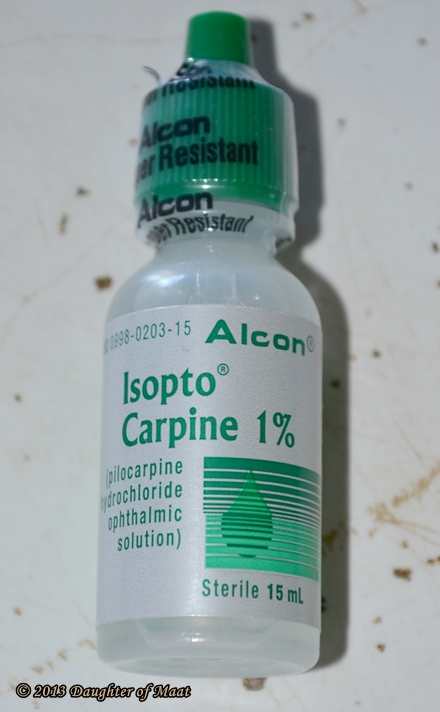 Isopto Carpine (most commonly called Pilocarpine) constricts the pupil. In urgent cases it is used prior to performing an LPI, and in less urgent cases it is used to to bring the pressure down.