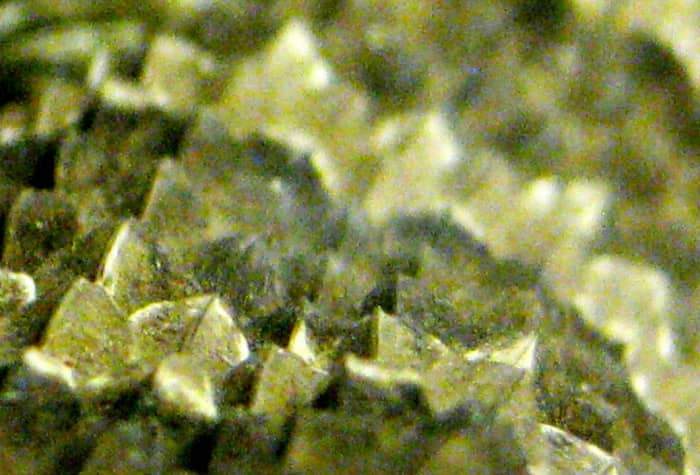Looking down along the top of a Prairie Rattlesnake (Crotalus viridis viridis), showing the heavily keeled scales on the dorsal side of the snake.
