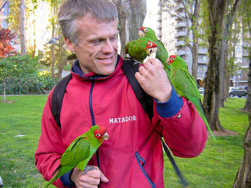 Parrots are very intelligent and adapt easily to interaction with humans, especially where they have taken to living alongside humans in urban parks.
