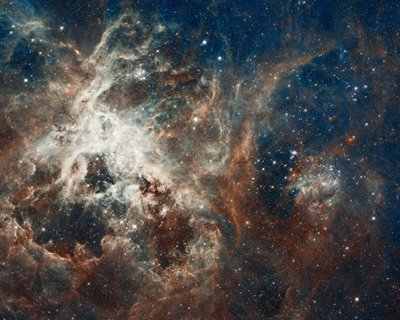 Protostars pull in nebulous gasses, but mature stars carve out regions of empty space by emitting powerful radiation.