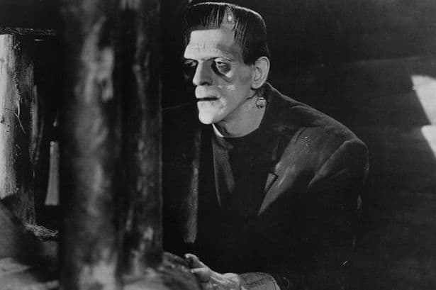 The Relationship Between Frankenstein and His 