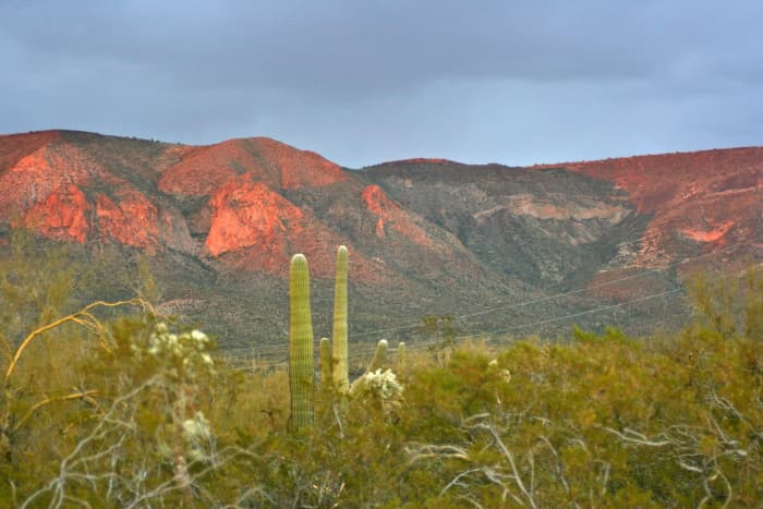 The view from my backyard: home to a roadrunner, here and there, and a lot of rattlesnakes.