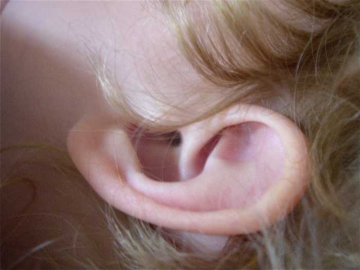 Earwax Facts, Functions, and Potential Health Problems Owlcation