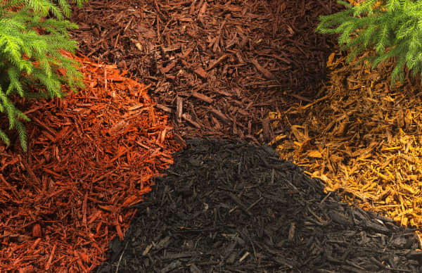 Choosing the kind of mulch that's right for you is critical when setting up and maintaining your garden.
