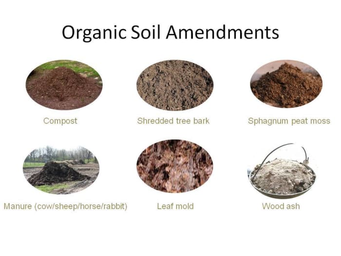 Organic fertilizers release their nutrients gradually over many months, so apply them in the fall to ensure they'll be available to your plants next spring.