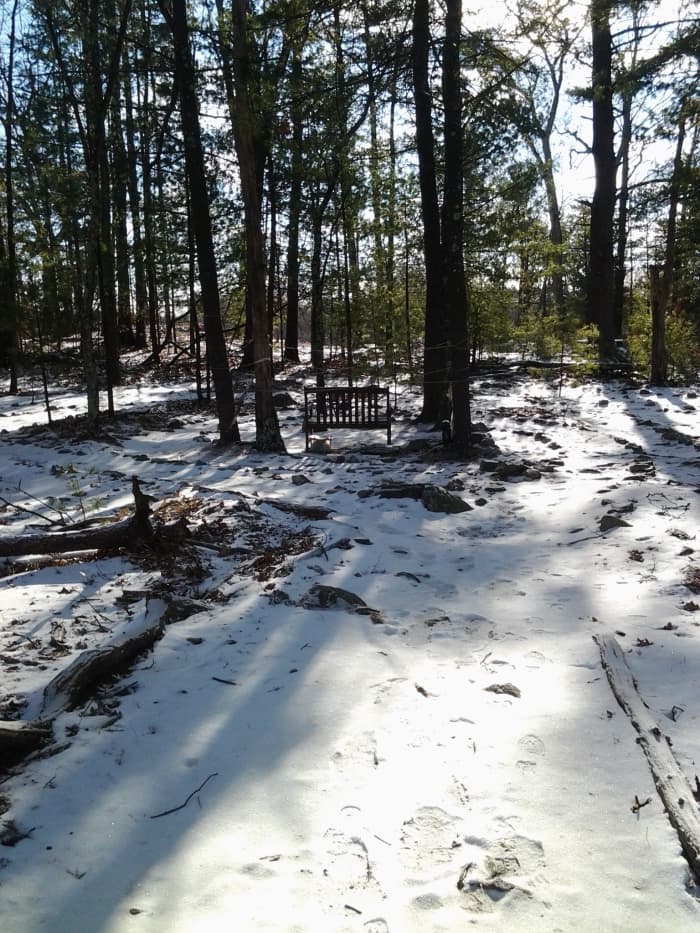 Our wooded labyrinth path of the Baltic Wheel design. Nature bestows so many moments of enchantment here.