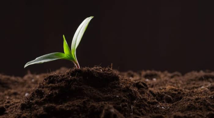 Your best plants will always be grown in the best soil. If you plant in soil that is subpar, you can expect plants that are subpar, and who wants that?