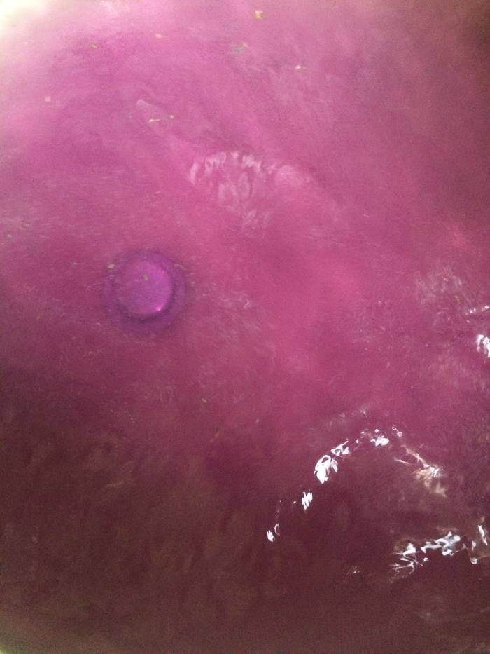 The water turned a pretty color.