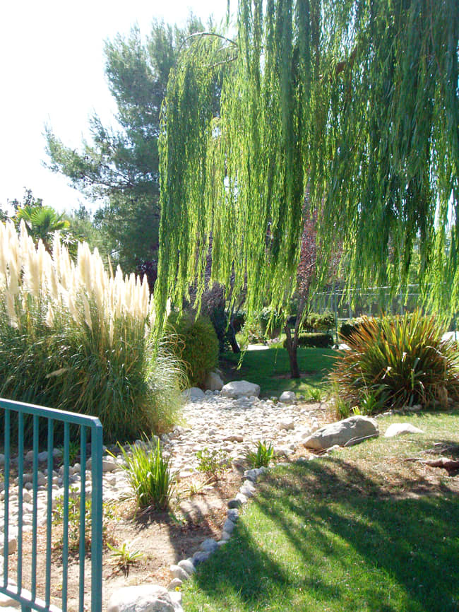 A knowledgeable landscaper can design and maintain beautiful landscapes using native plants and rocks.