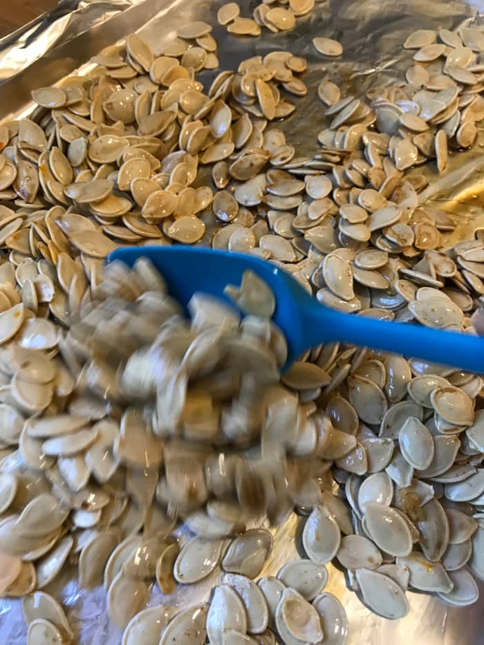 Sprinkle on the dry seasoning mixture, then stir well. You want the seeds coated well with the olive oil and Worcestershire sauce first, which will then made an even distribution of the dry ingredients easier to obtain.