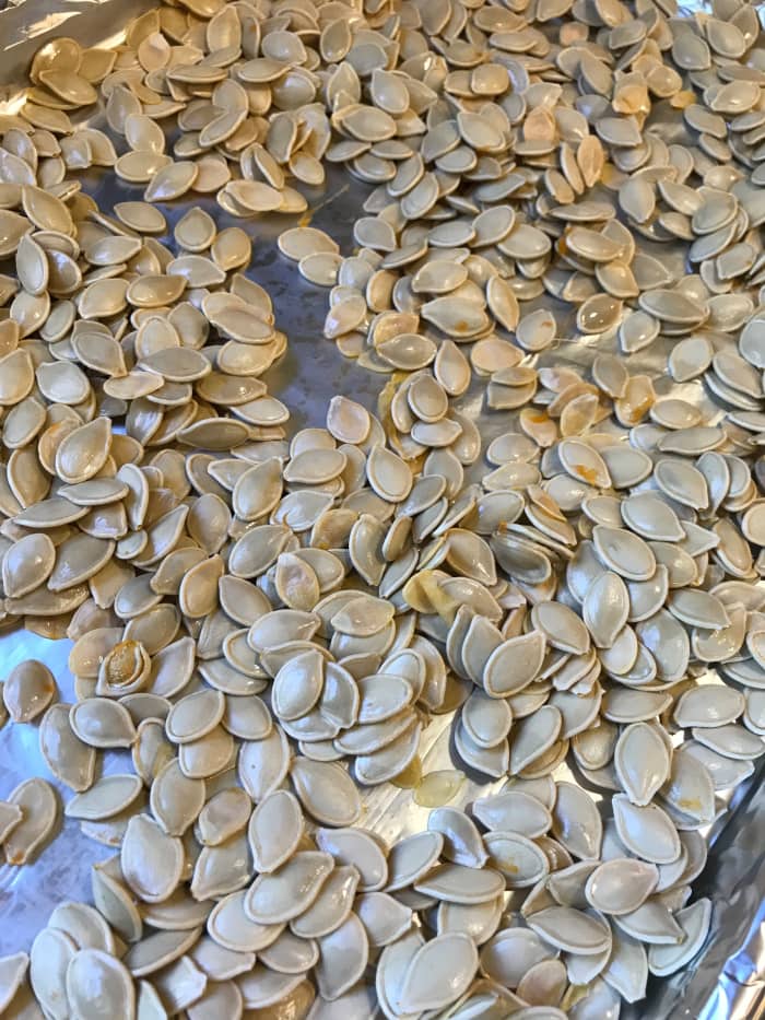 One of the tricks to getting crunchy seeds is to make sure the pumpkin seeds are nice and dry before going into the oven. I like to wash them, then spread them out on a baking sheet. Stir occasionally, and they'll dry out nicely. Or just pat dry.