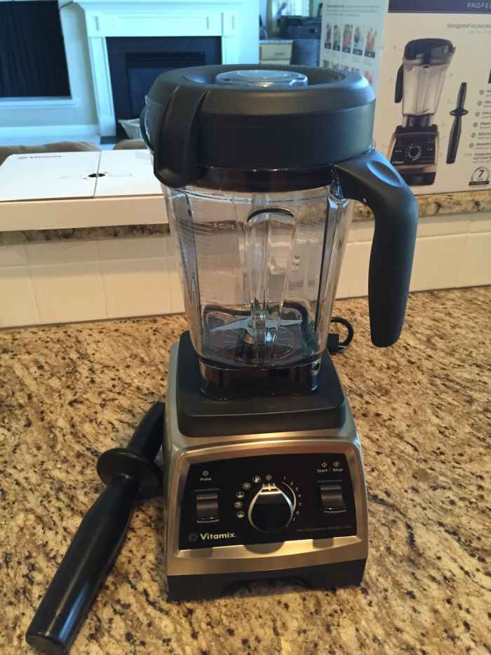 Vitamix 750 What We Made in Our First 30 Days Delishably