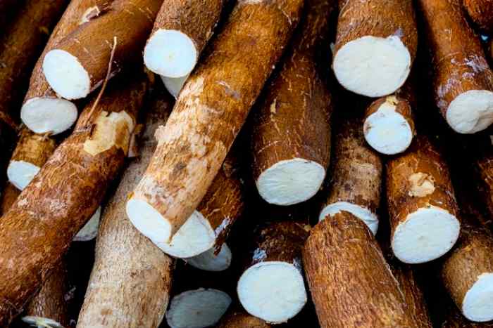 Cassava roots