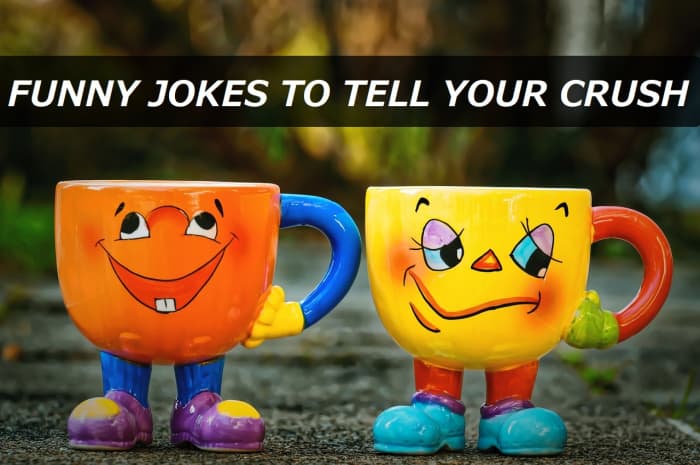 100 Funny Jokes To Tell Your Crush PairedLife