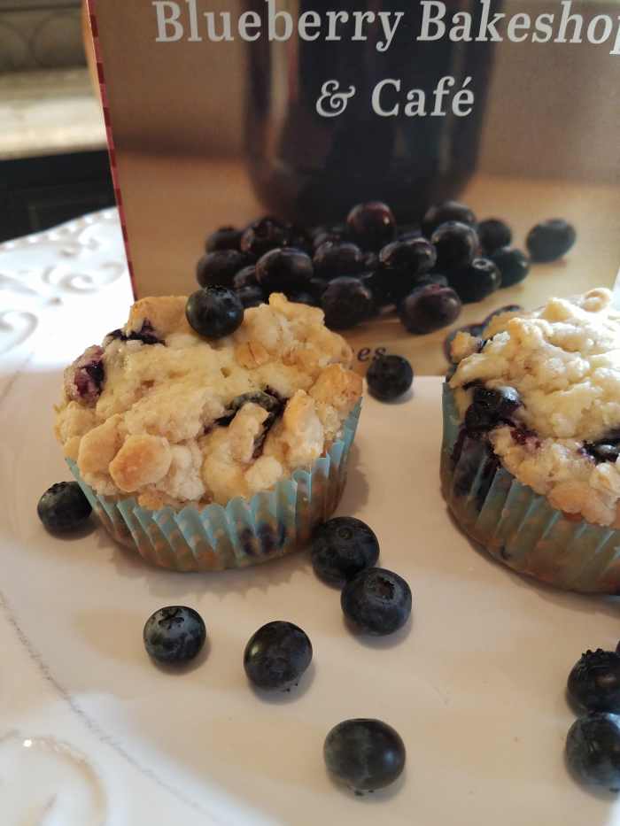 "The Irresistible Blueberry and Cafe" Book Discussion and