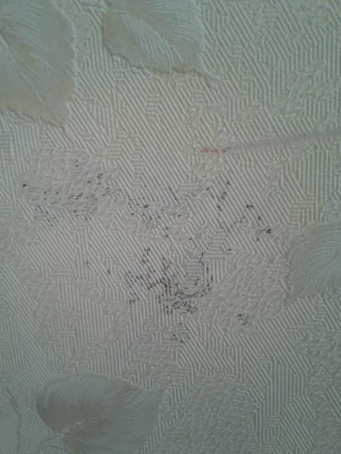 The former homeowners of this foreclosed house may not have recognized these dark spots as signs of termites behind their wallpaper.