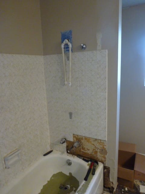 The old tub, at the beginning of the project. The glass doors have been removed and some of the wall covering. It is still usable as a tub, if not a shower.